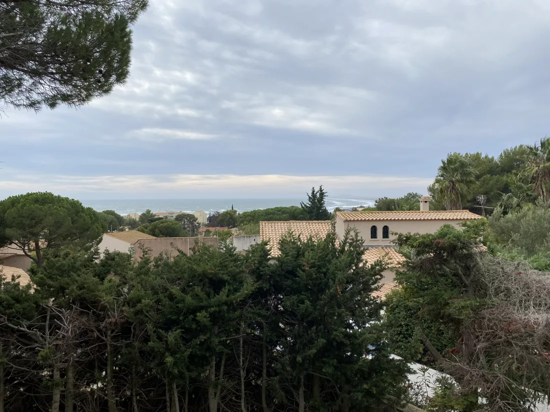 Le terrain comme point de départ